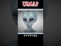 海外でバズった謎の生物？