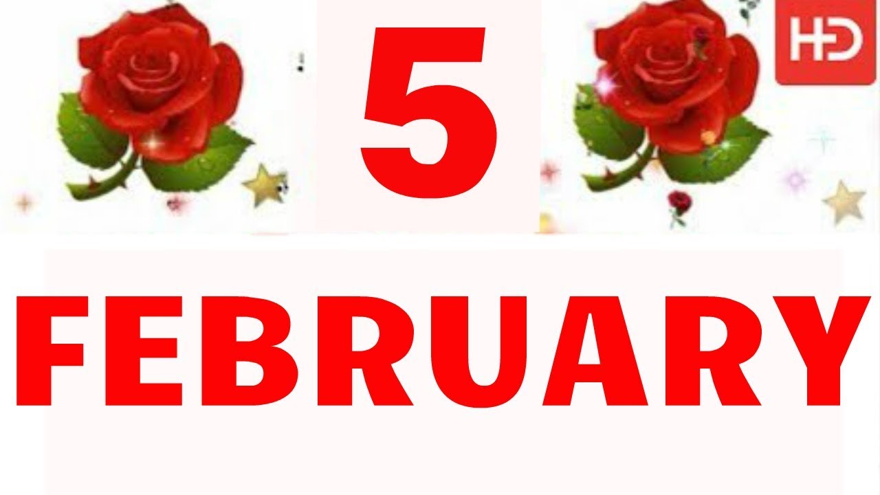 5 FEBRUARY Special New Birthday Status Video , happy birthday wishes, birthday msg quotes जन्मदिन