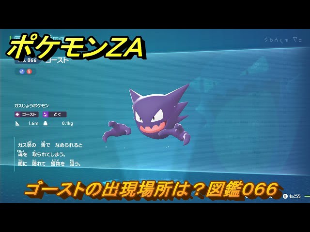 ポケモンZA ゴーストの出現場所は？図鑑066 ＃193 【Pokémon
