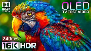 Premium Nature OLED 16K HDR 240FPS | Dolby Vision Stunning Landscapes (8K/4K TV)