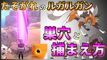 ポケモン 黄昏ルガルガン