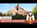 Disneyland&#39;s Critter Country: So Charming!