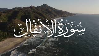 Surah Anfal | Beautiful Quran Recitation | Ali al-Huthaify | Qaloon