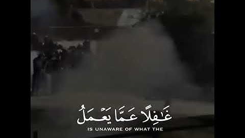 قرآن كريم بصوت القارئ اسلام صبحي تلاوة خاشعة و مؤثر ارح قلبك 💚🌿حالة واتس اسلامية /القدس 💔