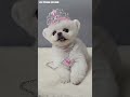 공주 하고 싶다며ᄏᄏᄏ