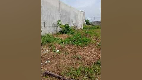 ĐẤT nền tân đức giá rẻ LH 0937321522  Zalo 0866676038