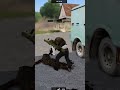 C'était mérité ? #ArmA #Karma #Fun #Military #Game | #patapignouf sur #Twitch