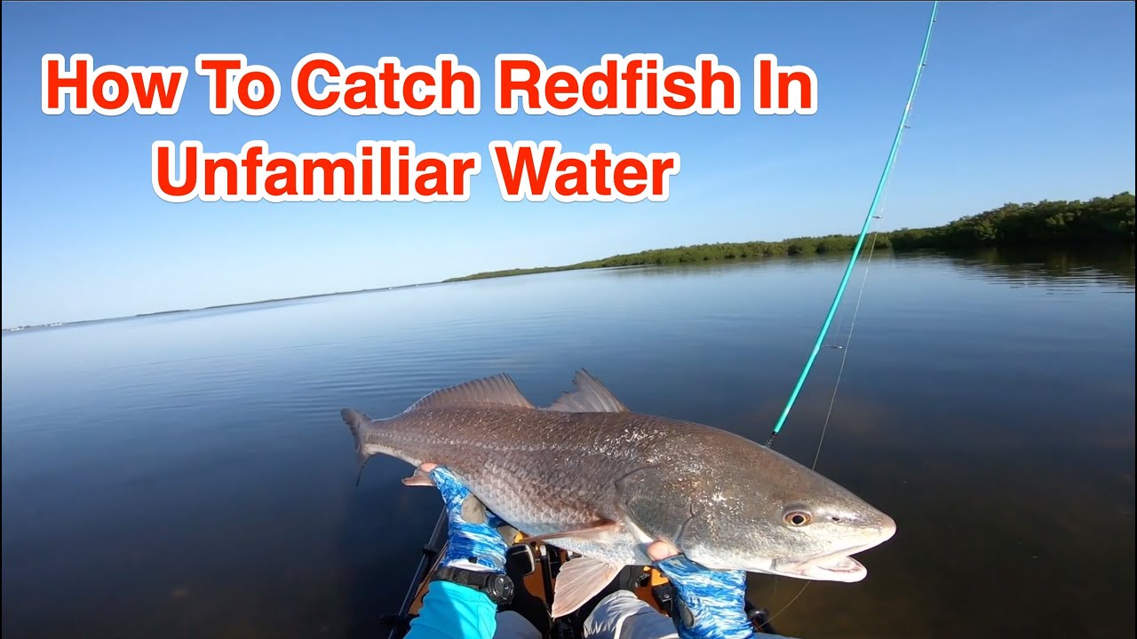 How To Catch Redfish In Unfamiliar Waters (With John Skinner)