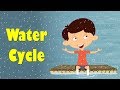 The Journey of Water Through the Water Cycle