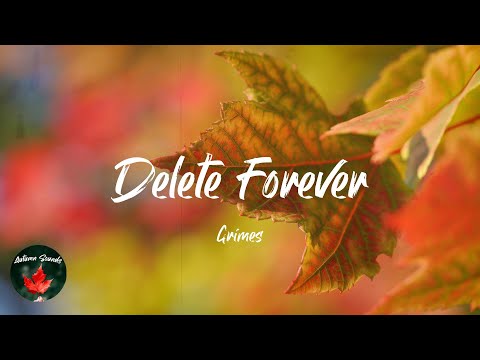 Grimes - Delete Forever (Lyric video)