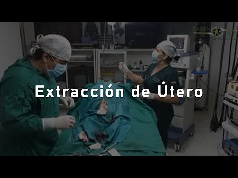 Extracción de útero por concecuencia de PIOMETRA - Medicina Veterinaria hqdefault