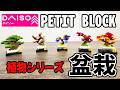 【ダイソー購入品】プチブロック植物シリーズ 盆栽が日本っぽくていいかも