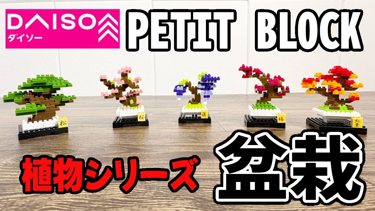 【ダイソー購入品】プチブロック植物シリーズ 盆栽が日本っぽくていいかも