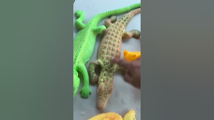 Growing Crocodile in my Swimming Pool! 🐊💦 #crocodile #growtoy #shorts