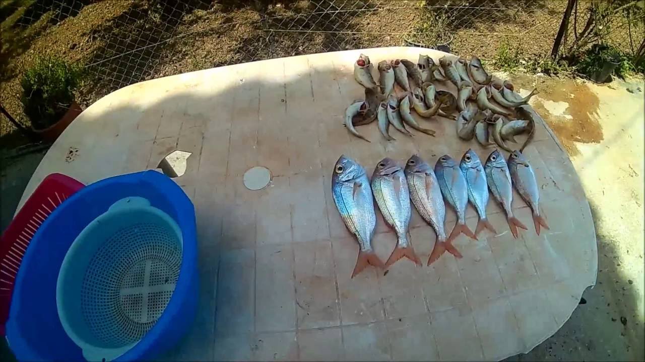 fishing trip in zantepart 2 YouTube