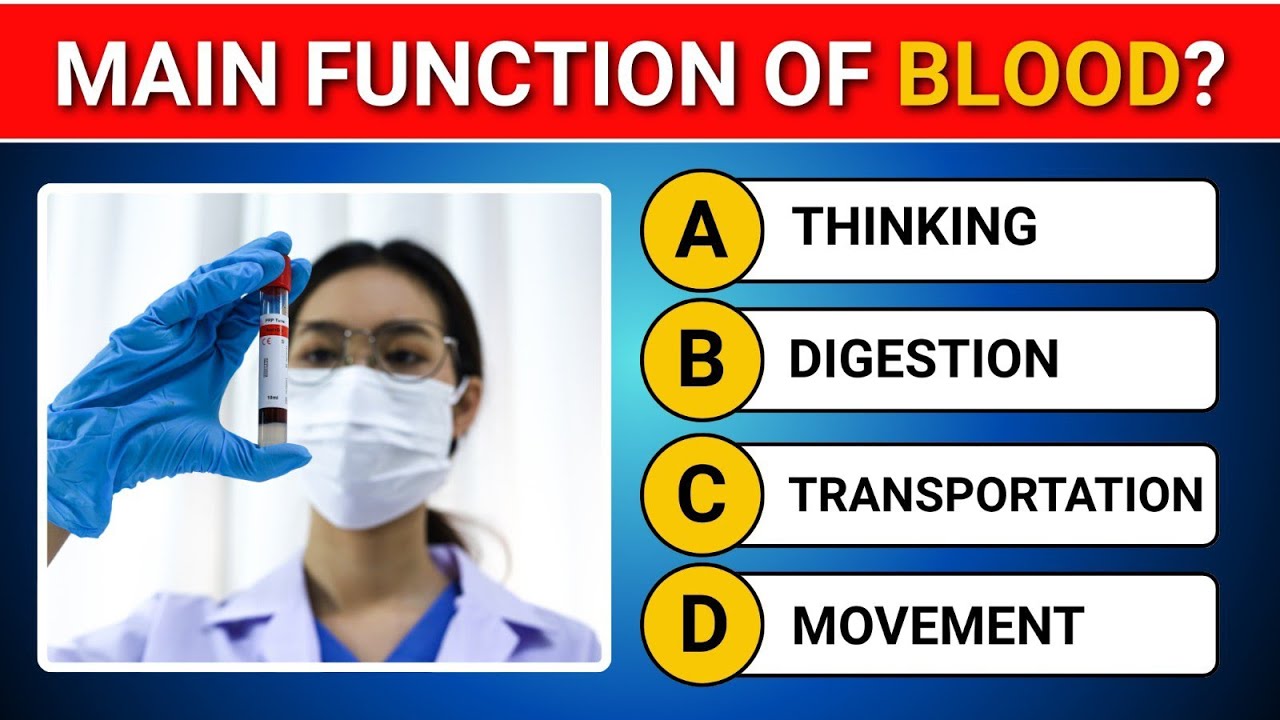 Human Body Quiz: 10 Questions That Test Your Knowledge 🧠 Day 3 Challenge