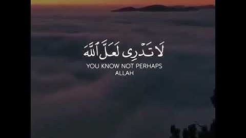 من اجمل الاصوات فيه راحة للقلوب || تلاوة جميلة لايات من القرآن الكريم