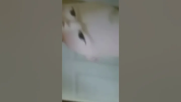 16.  2021.