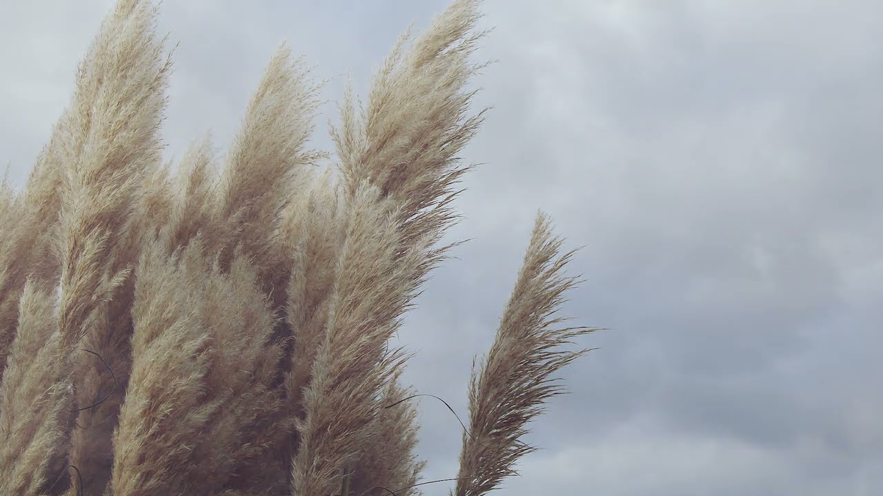 Watch Headwind | 向かい風 on YouTube Watch Headwind | 向かい風 on YouTube