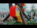 HONGKONG FLOWER SHOW FESTIVAL PART 3 @VICTORIA PARK #flowers #beautiful #hongkongflowershow2023