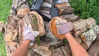 Cutting up some cherry firewood this morning