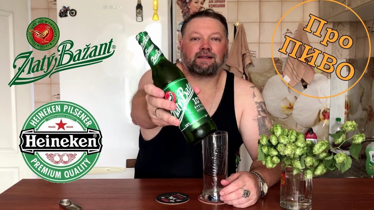 Про ПИВО: Heineken - Zlatý Bažant