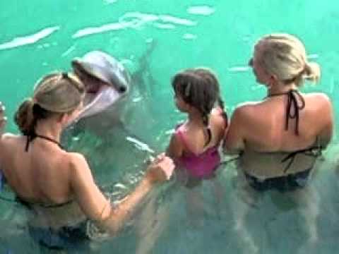 hug a dolphin in the Bahamas