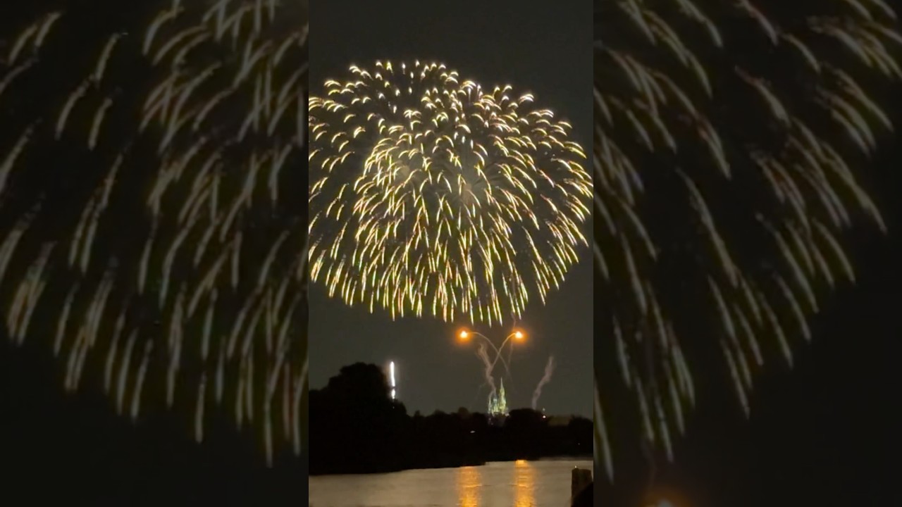 Happily Ever After from the Polynesian 🎆 