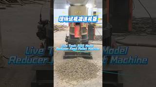 Live Test 600 Model Reducer Feed pellet Machine #pelletmachine #pelletmill #feedpelletmachine