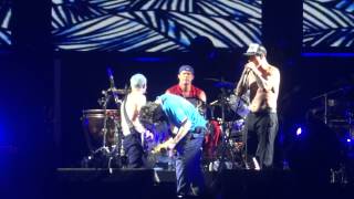 red hot chili peppers "under the bridge"@lollapalooza 2012