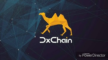 DxChain - Big Data Meets Blockchain