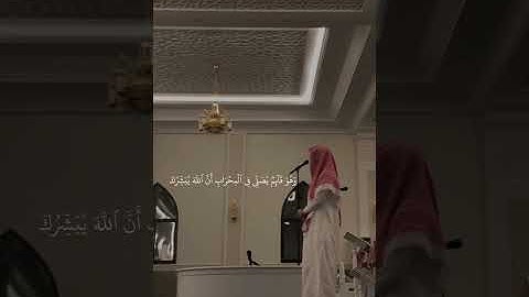 قران كريم بصوت جميل جدا يريح القلب والاعصاب وبصوت الشيخ فيصل الهاجري #تلاوت_المساجد#قرأن_كريم#quran 