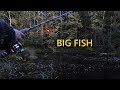 Adirondack Shelter and a BIG fish