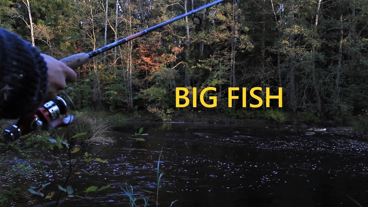 Adirondack Shelter and a BIG fish