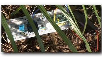 Raspberry Pi Pico W - Lesson 28 Homework Solution