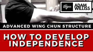 How to Develop Advanced Wing Chun Structure without Wasting Years!