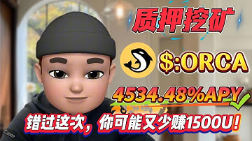 🧠 Solana质押新手实战！无风险ORCA挖矿高收益年化4534.48%稳稳拿！