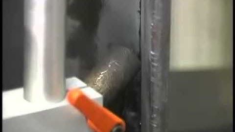 Bug O Systems  Bug gy vert