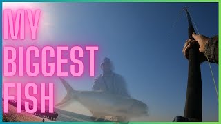 EPIC DAY - The biggest fish of the channel!