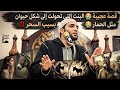 فتاة جميلة عند الزواج تحول وجهها إلى رأس حمار قصة عجيبة عن السحر والشعوذة للشيخ محمد صبره