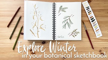 Explore Winter in Your Botanical Sketchbook