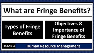 What are Fringe Benefits? Types, Objectives and Importance of Fringe Benefits