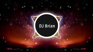 ( DJ ADAKAH INI MIMPI REEDZWANN )