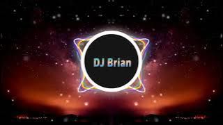 ( DJ ADAKAH INI MIMPI REEDZWANN )