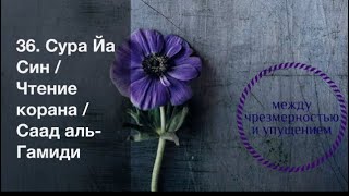 36. Сура Йа Син / Чтение корана / Саад аль-Гамиди