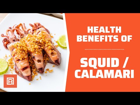 Health benefits of Squid / Calamari: This seafood is great for your health!