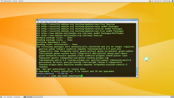 Apt-Mark - Change Autoremove Status of Package - Debian