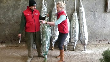 How To Unwrap Your Christmas Tree