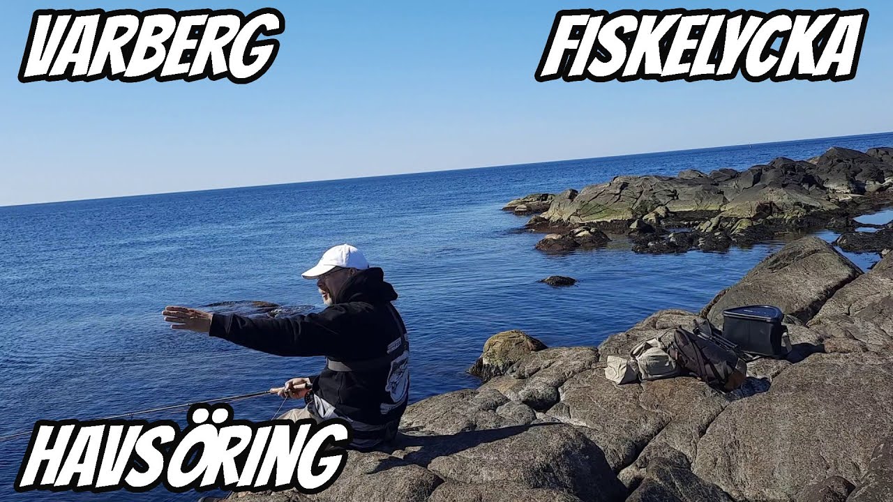 Flugfiske Efter Havsöring i Varberg | Fiskelycka