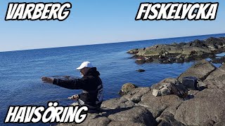 Flyfishing for Sea Trout in Varberg | Fiskelycka